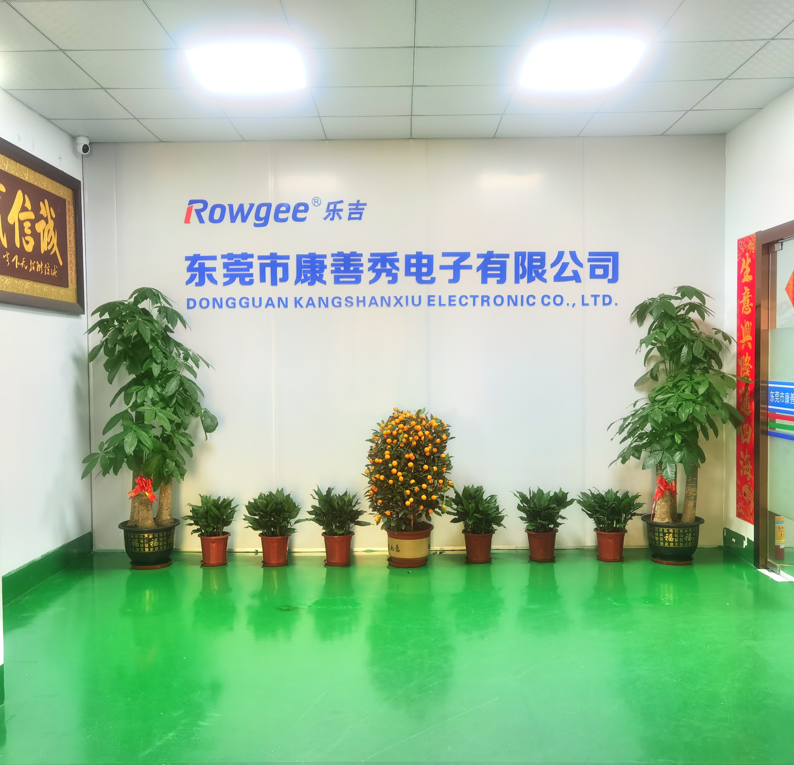 Chine Dongguan Kangshanxiu Electronic Co., Ltd. Profil de la société