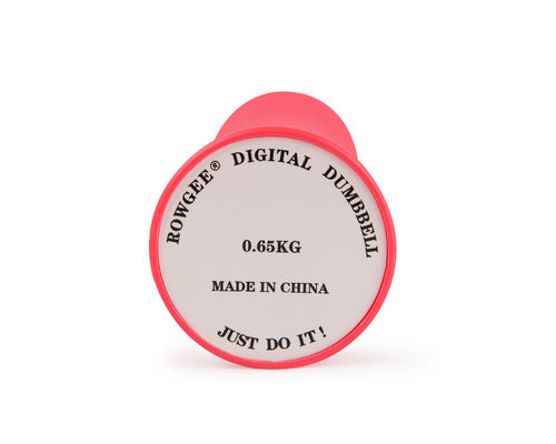 Rougee Dumbbell intelligent pour le bureau d'entraînement complet