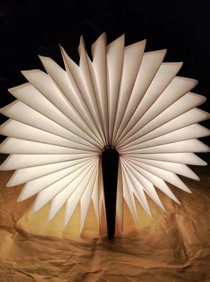 Lumière de nuit à LED mini Rechargeable Lumière de livre de lecture Lumière de livre pliable Lumière de nuit LED USB
