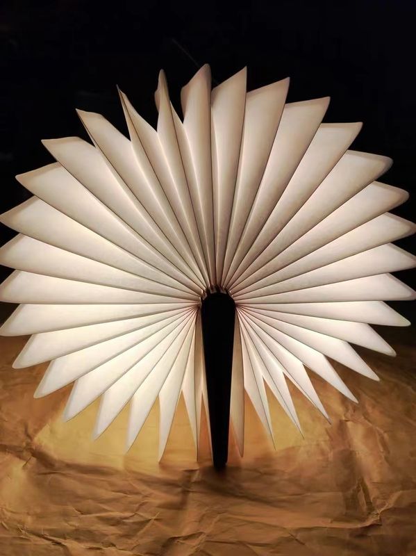 Lumière de nuit à LED mini Rechargeable Lumière de livre de lecture Lumière de livre pliable Lumière de nuit LED USB