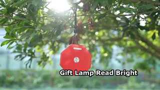 Lampe cadeau, lampe de lecture